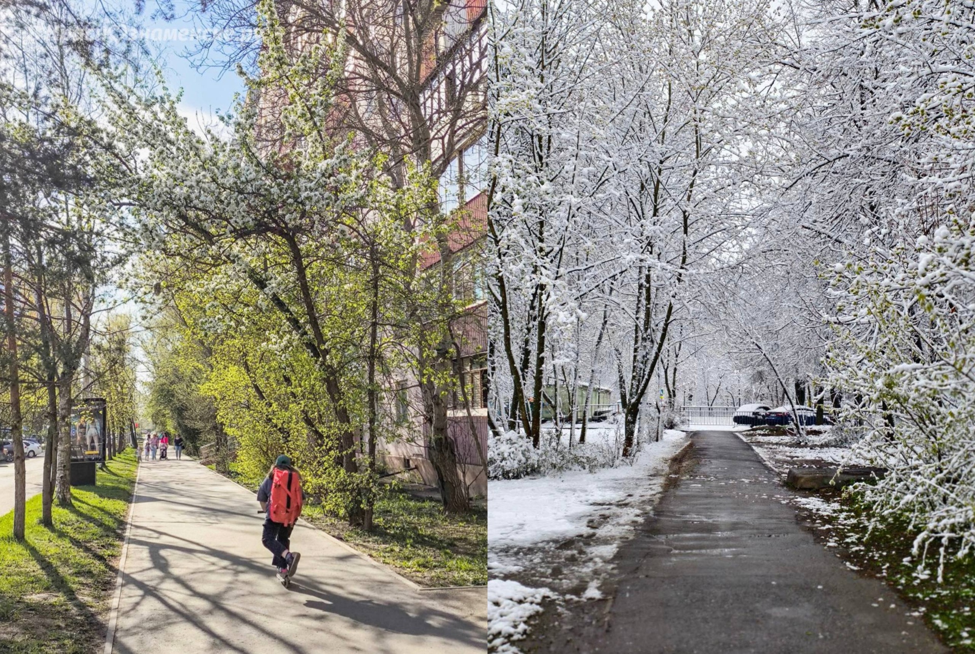 Конец апреля в прошлом году и в этом. Кажется, в этом году з