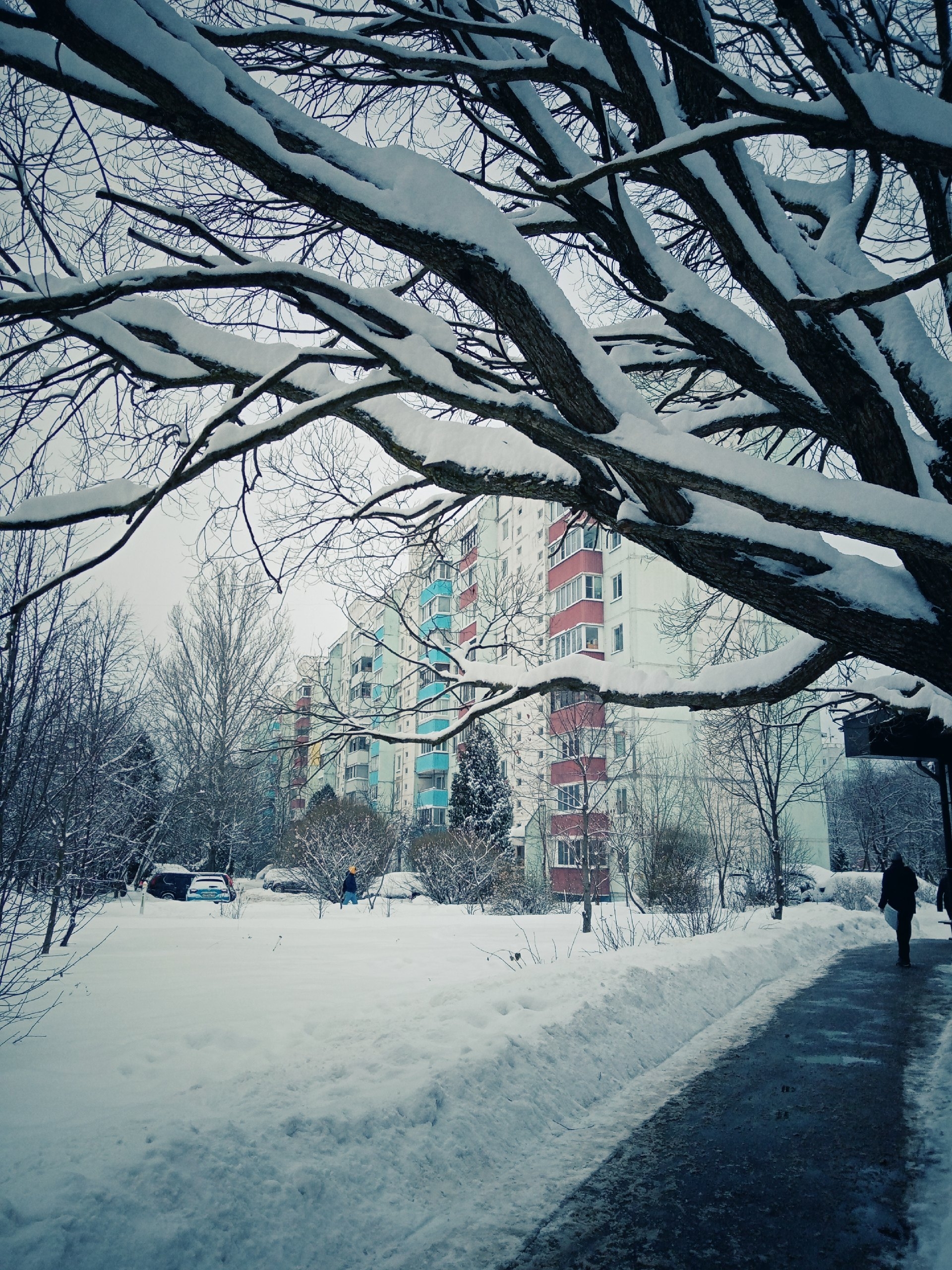 Прогулка по городу. — Краснознаменск