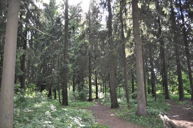 Быстрое меню — Краснознаменск