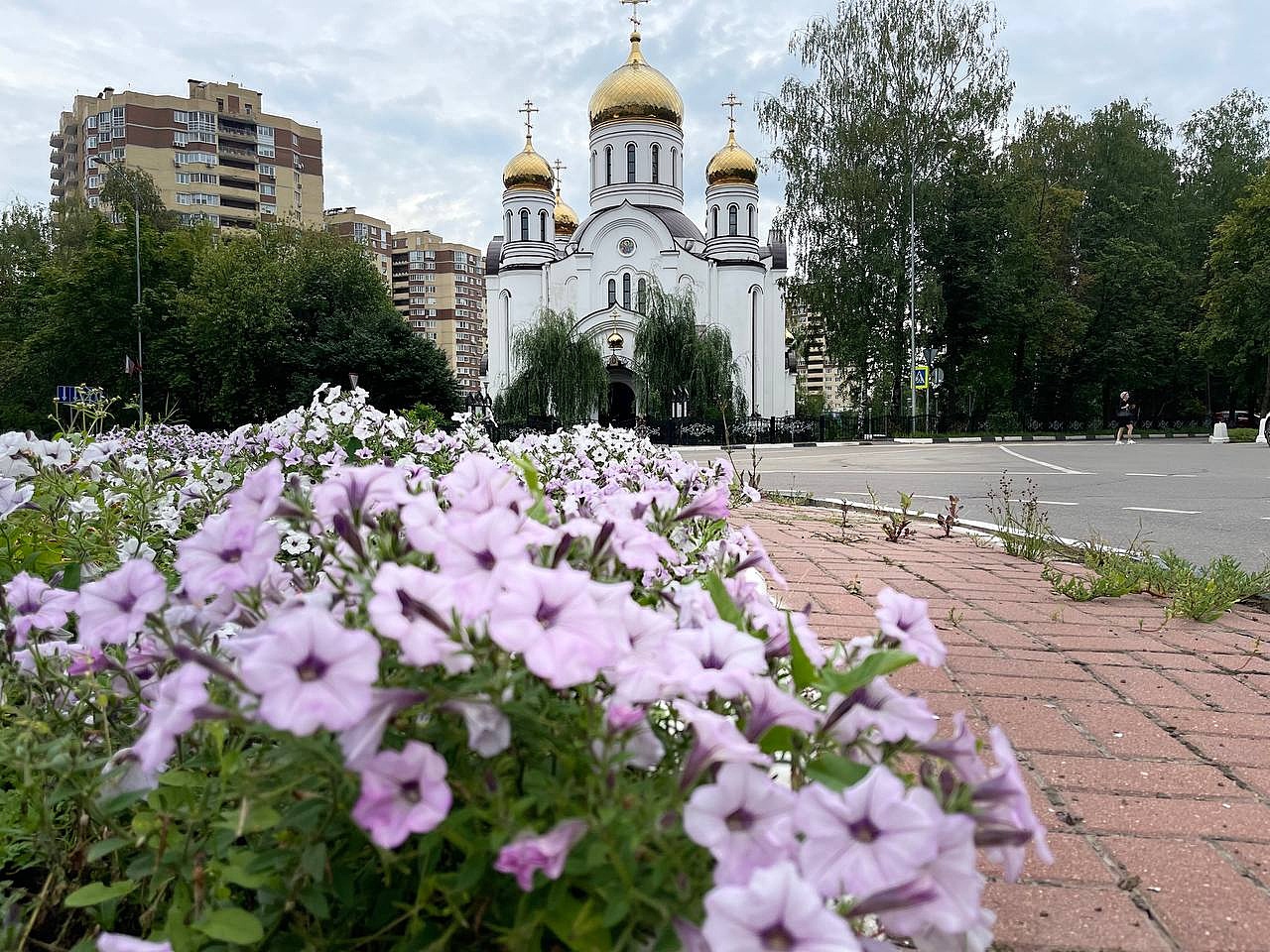 Прогулка по городу. — Краснознаменск