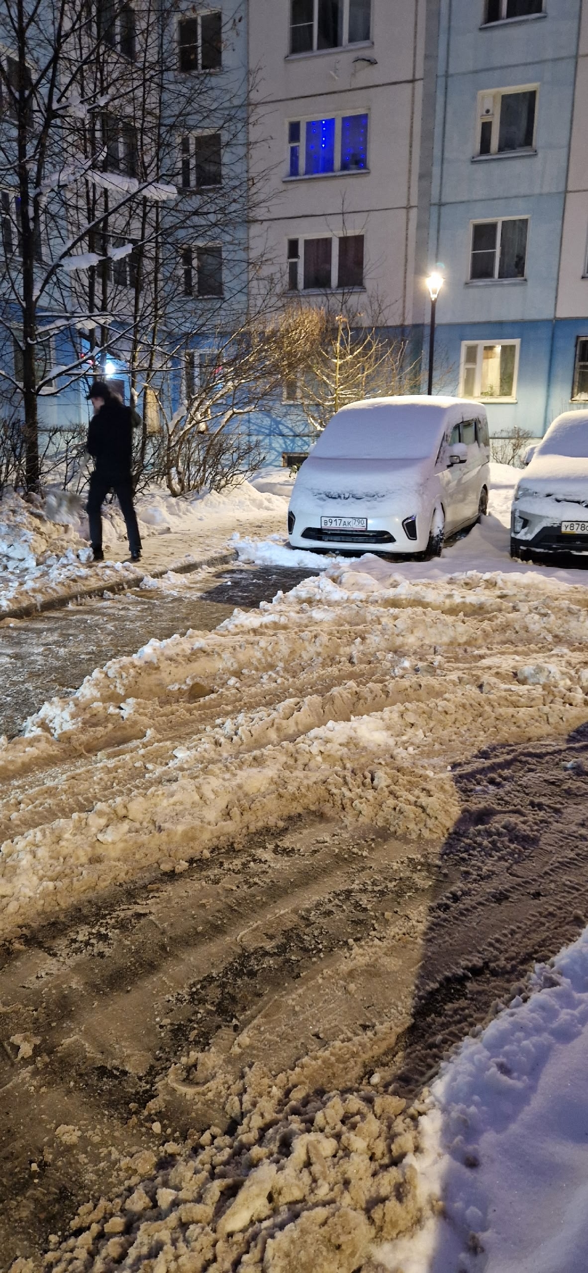 Заплатить налоги и чистить дороги самим. Очень удобно!!!!! Н