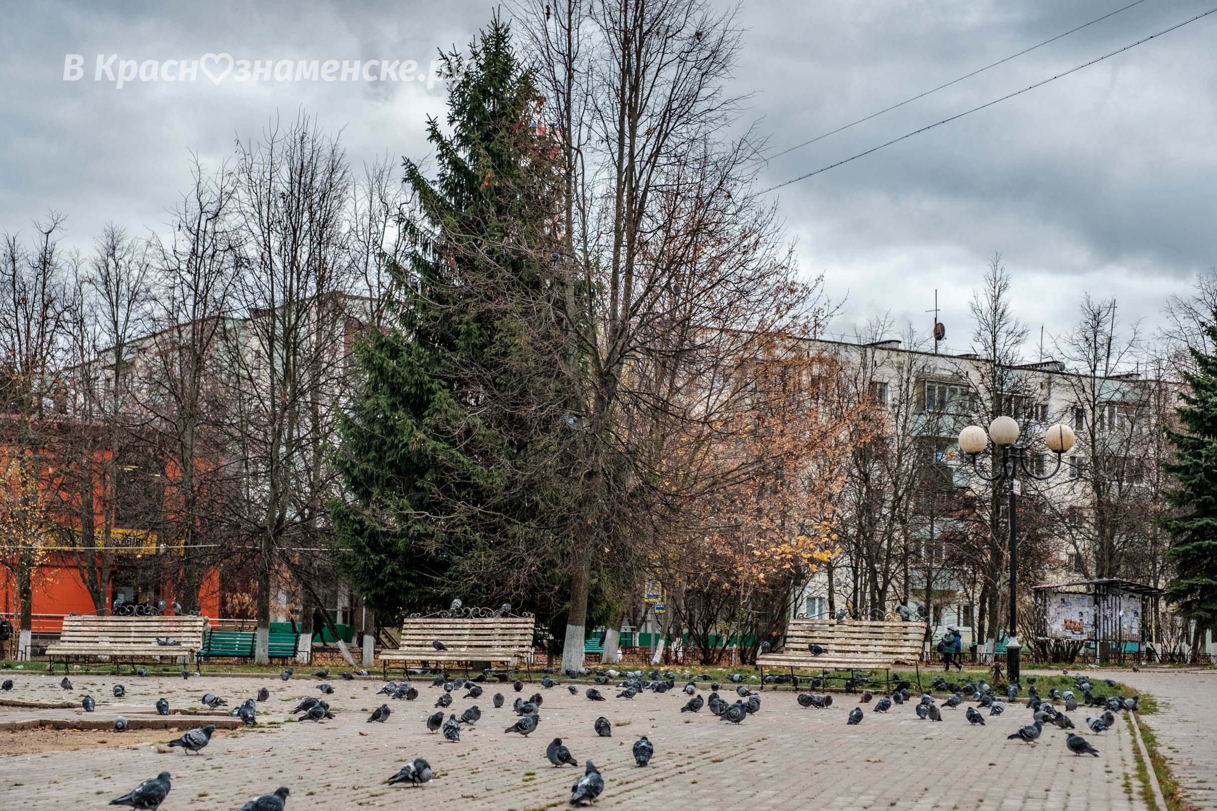 Доброе утро, Краснознаменск! ❄ Утром, -2°… 0°, Небольшой сне