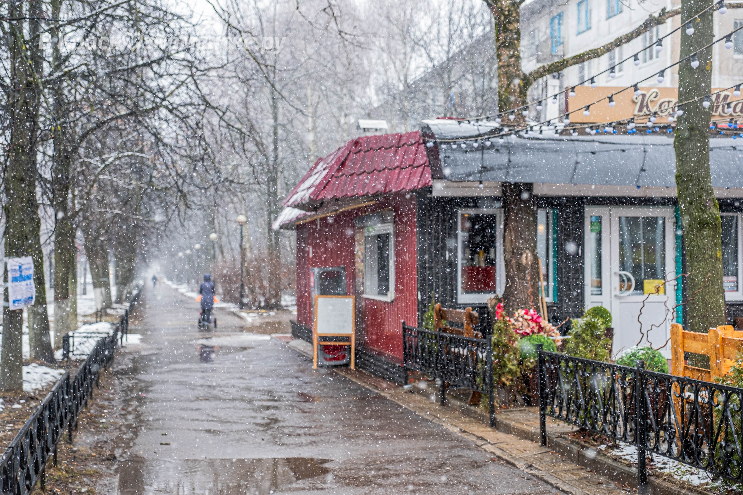 Автор фотографии Dmitry Nesterenkov — Краснознаменск