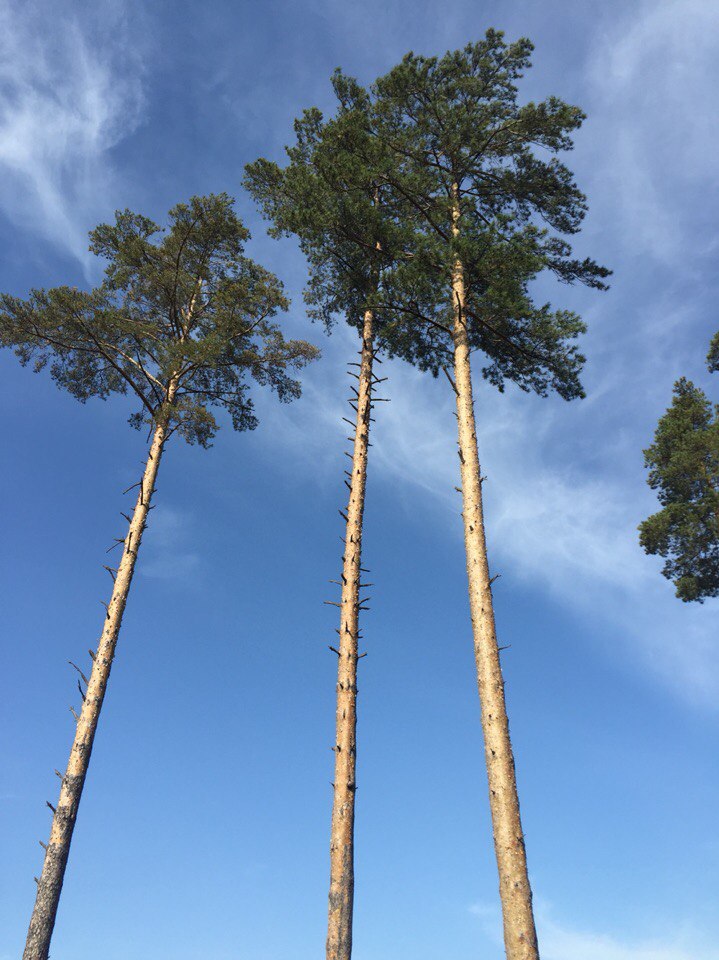 Бабье лето в разгаре☀️????лыжная трасса