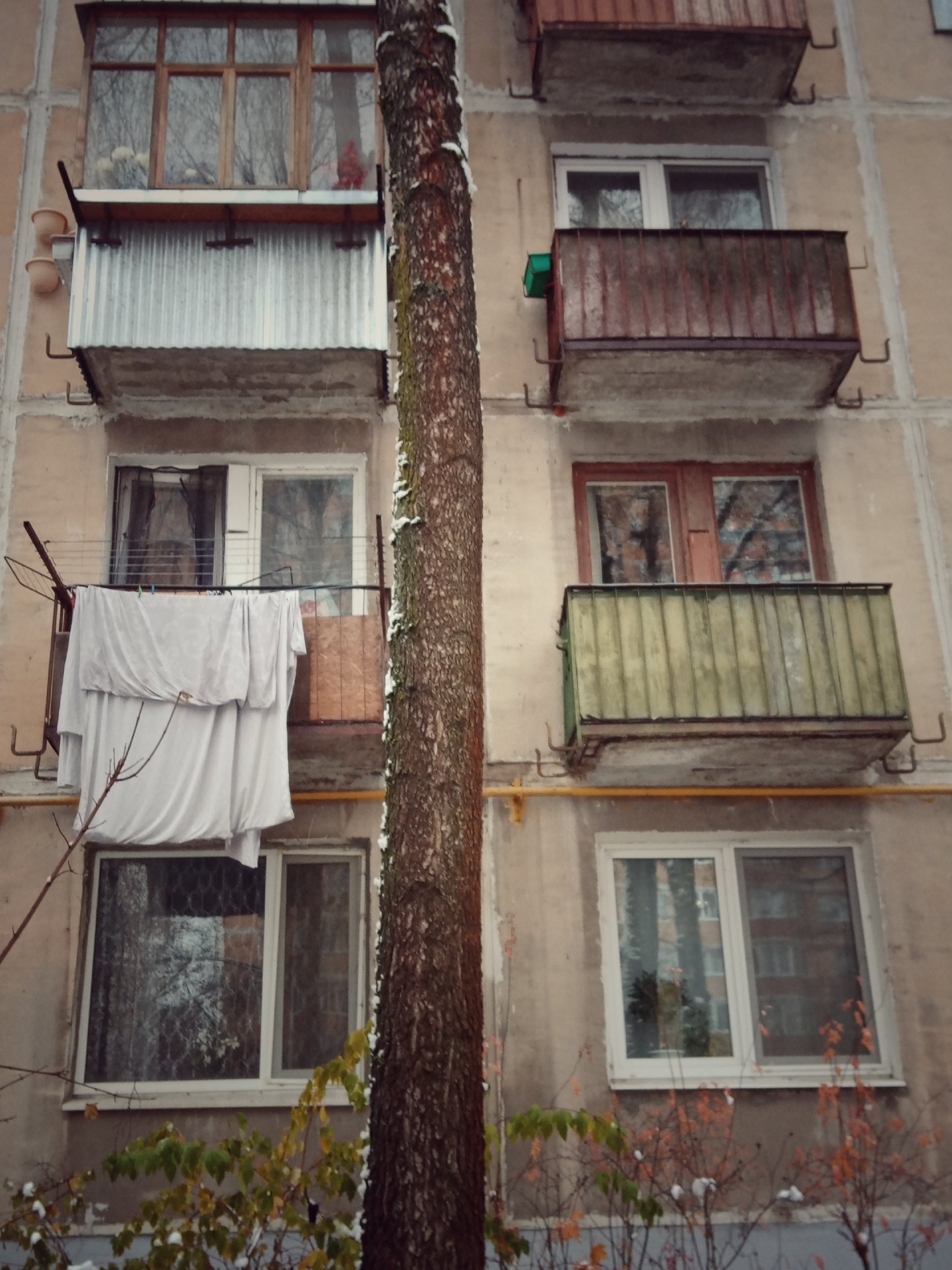 Прогулка по городу — Краснознаменск