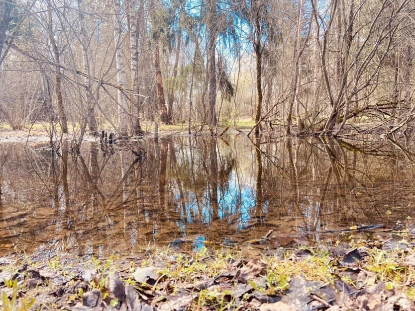 Утро в городском парке ???? sv.angel — Краснознаменск