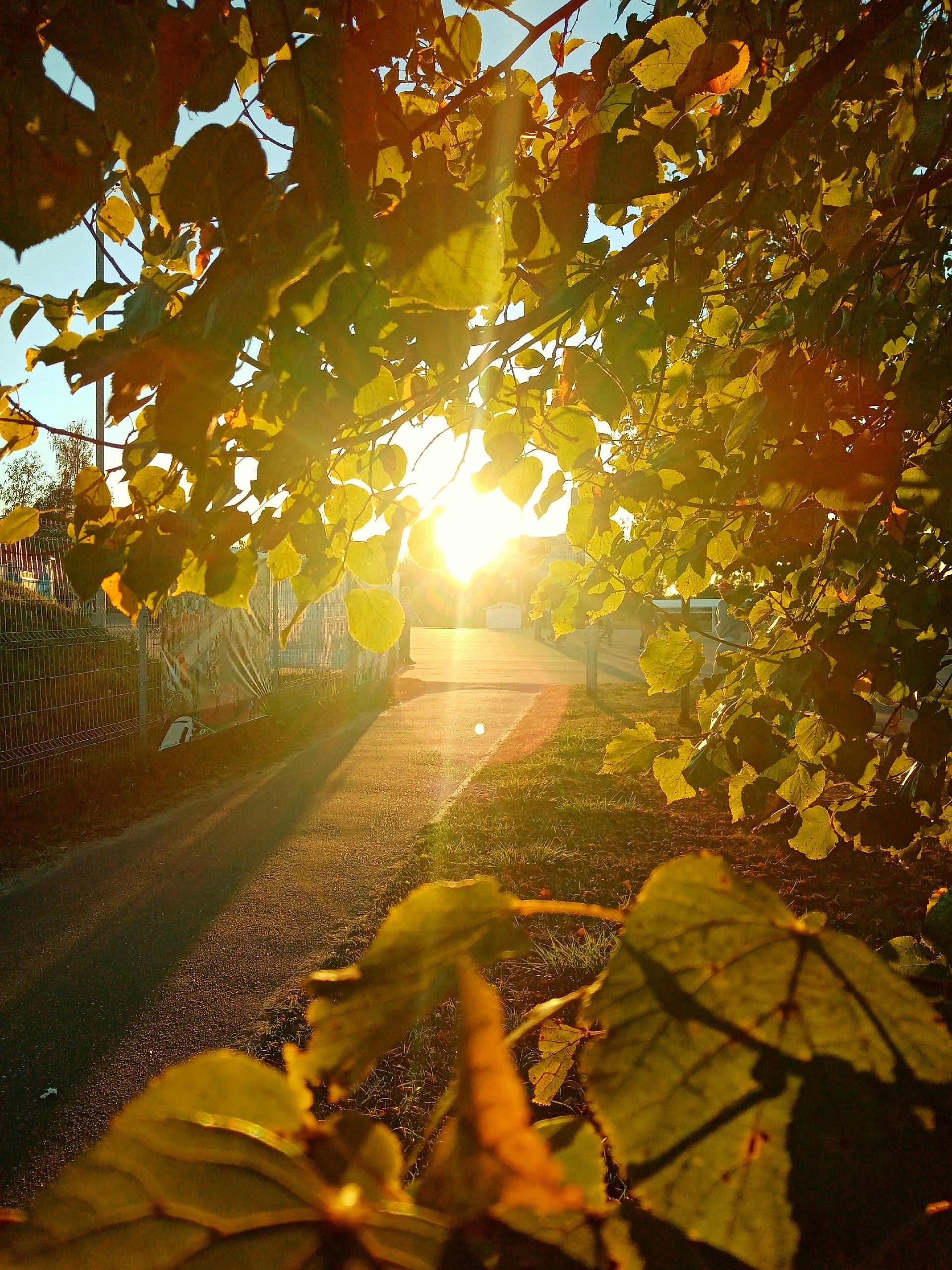 Вечереет. — Краснознаменск