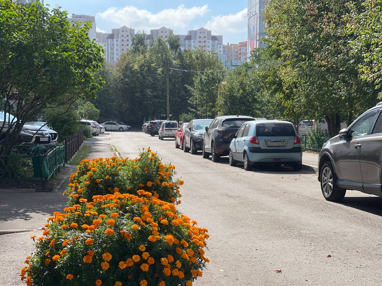 Осенняя прогулка по городу???? — Краснознаменск