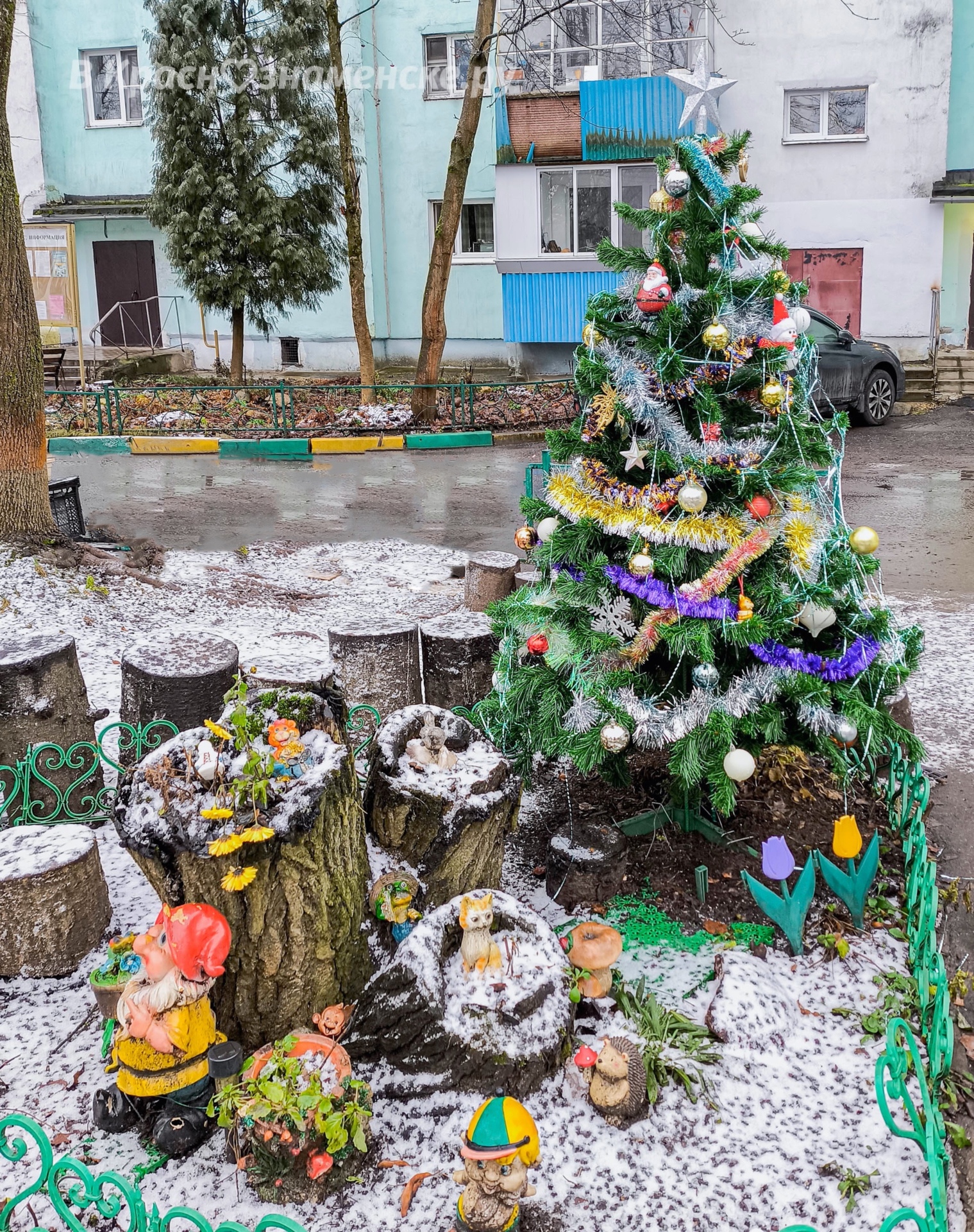 Немного новогодней атмосферы с пр-т. Мира 17  © в Краснознам