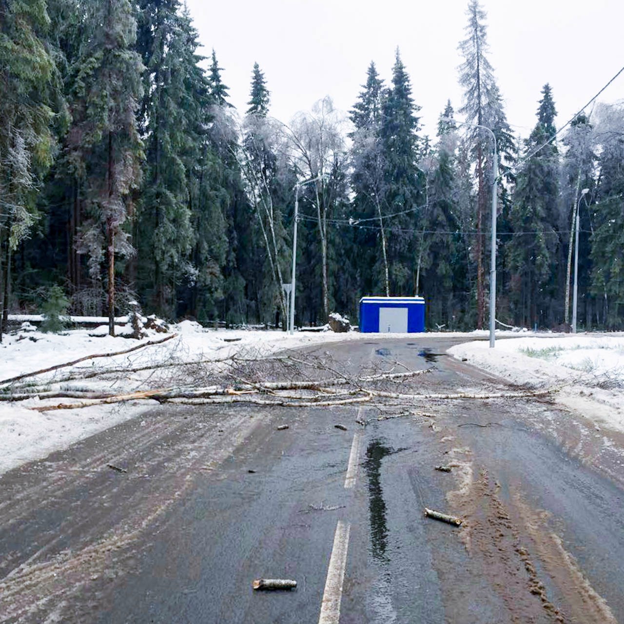 Упало дерево на объездной дороге...