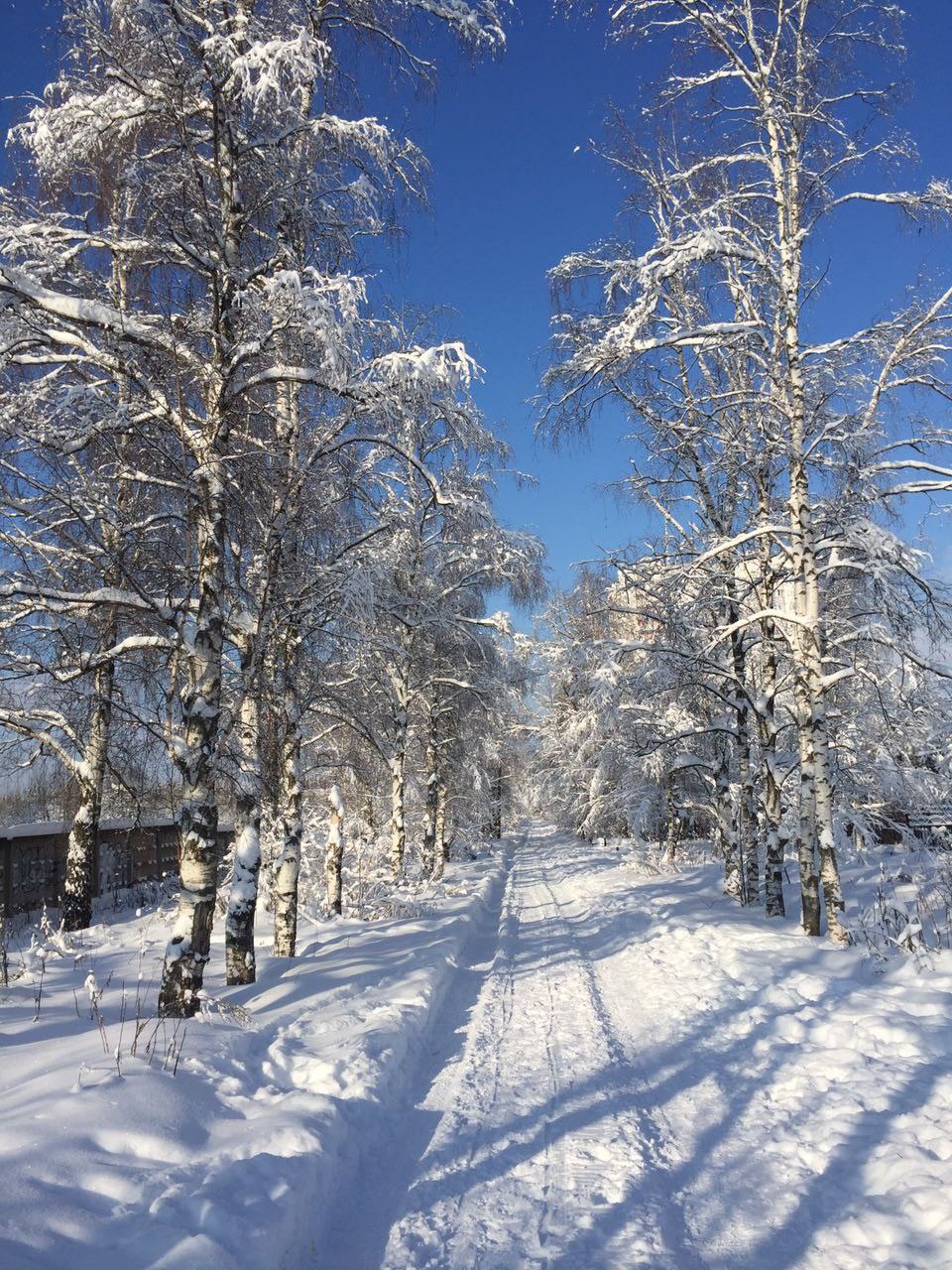 Красота
