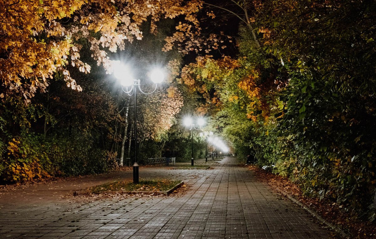 Краснознаменские вечера волшебны в любое время года ✨