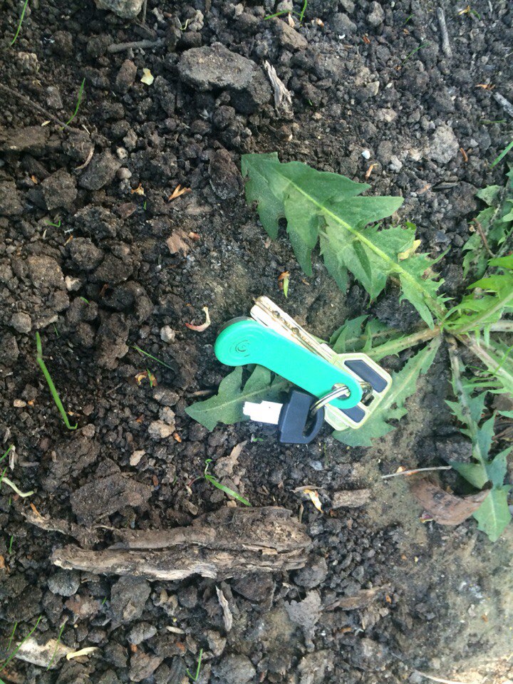 Вчера были найдены ключи!!! В ройоне дома: проспект мира 5!