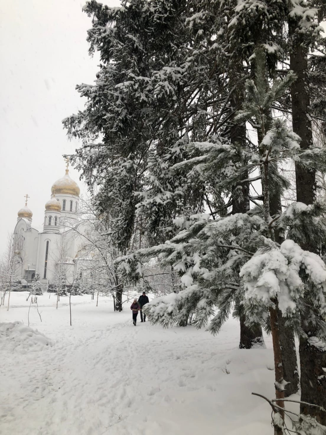 2 апреля #Весна наступила, а #Зима вернулась! У природы нет