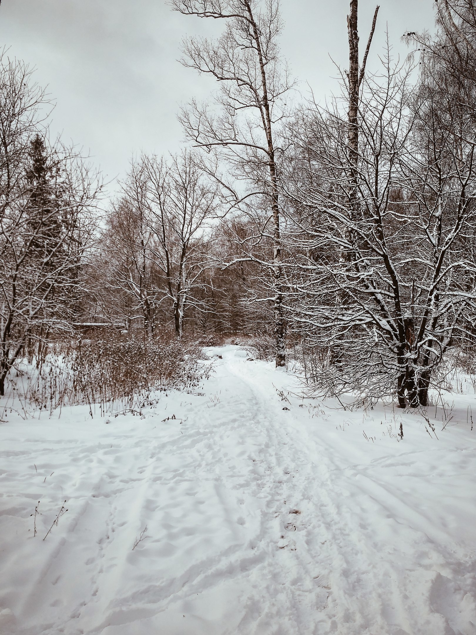 Волшебное время ❄️ Фото Мария Ильяшенко — Краснознаменск