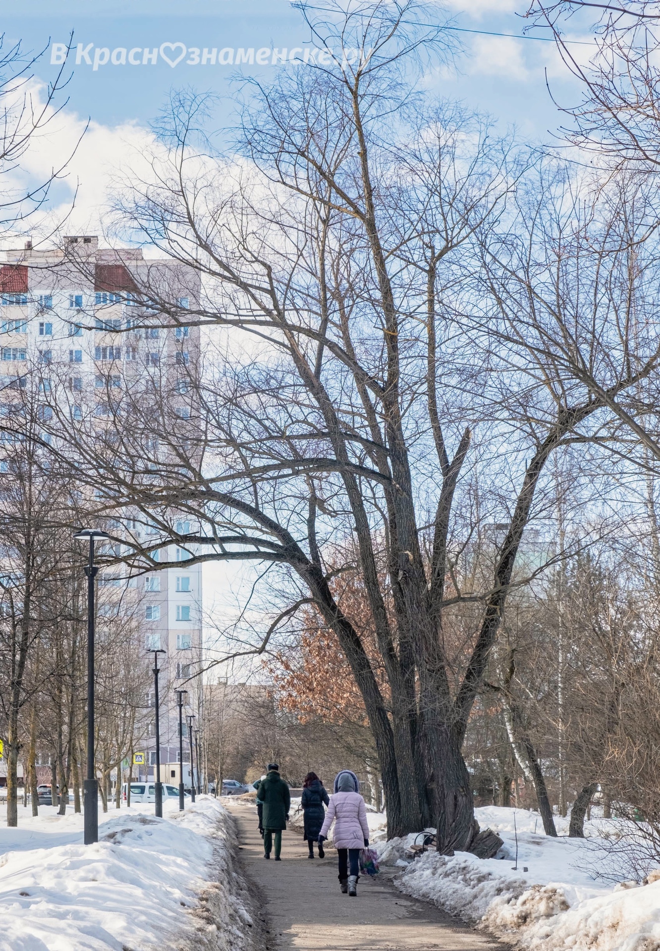 Прогулка по весеннему городу — Краснознаменск