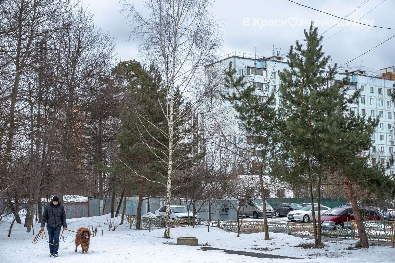Прогулка по городу — Краснознаменск
