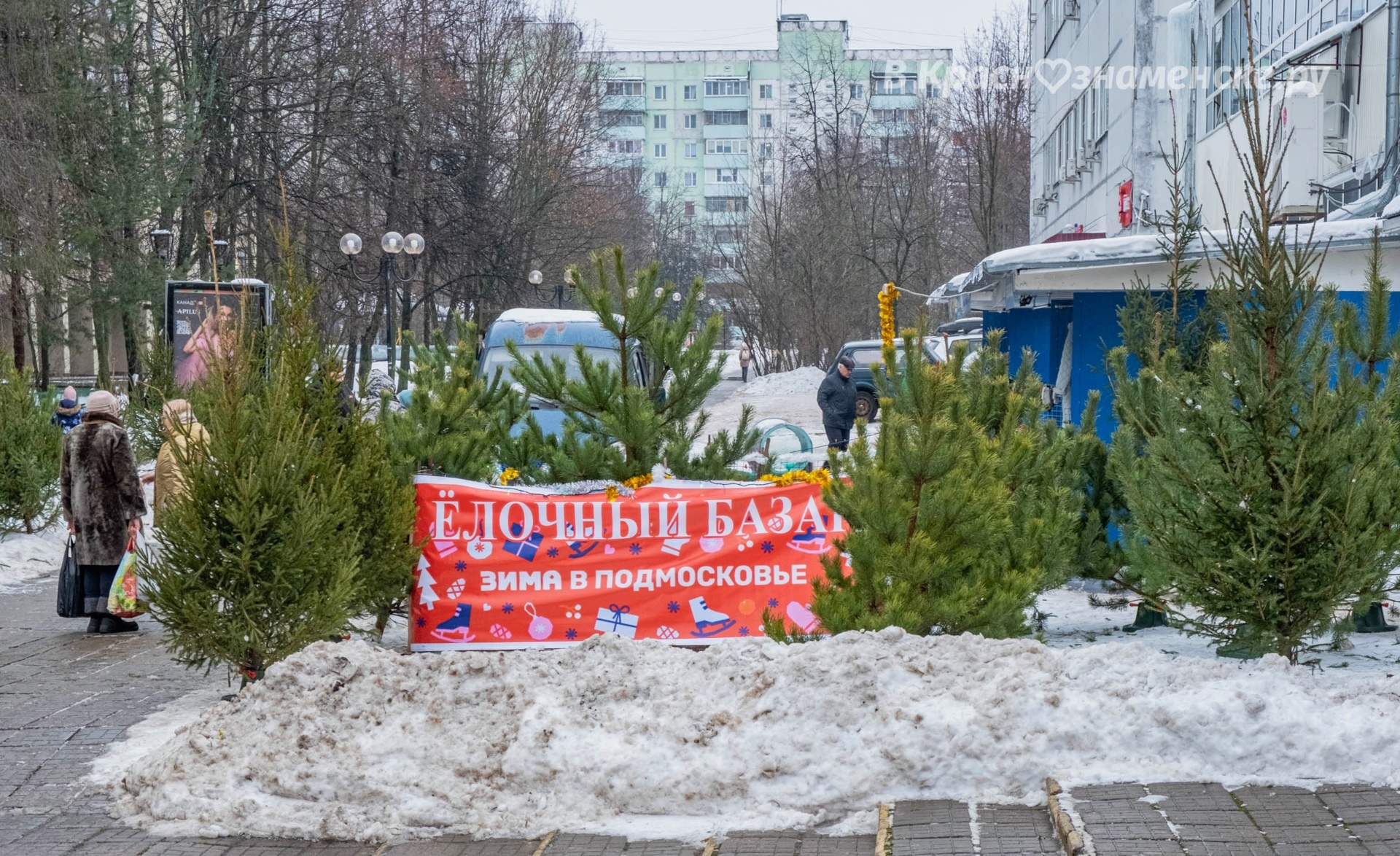 У Городского рынка открылся ёлочный базар!  Цена — 1 500 руб