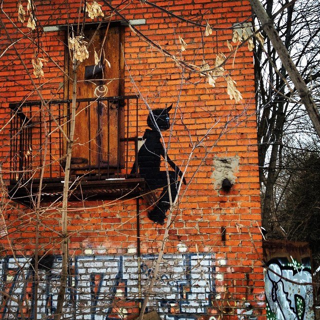 Автор фотографии dashagoncharik