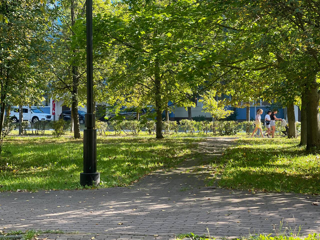 Прогулка по городу.