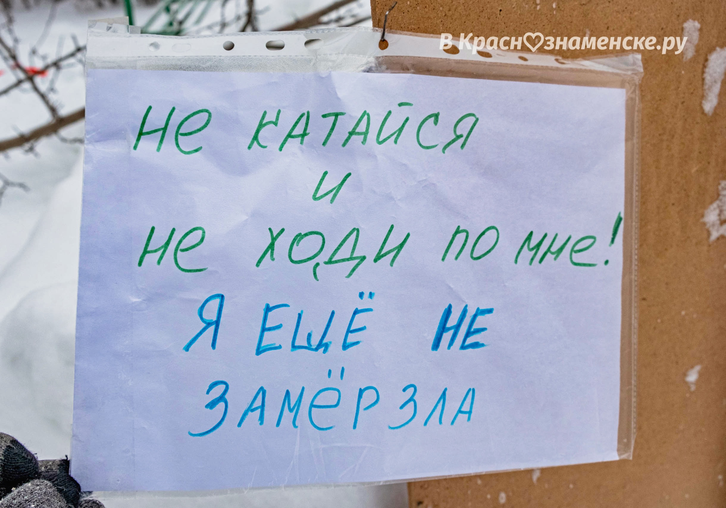 Спасибо тем людям, которые заботятся о детях нашего двора на
