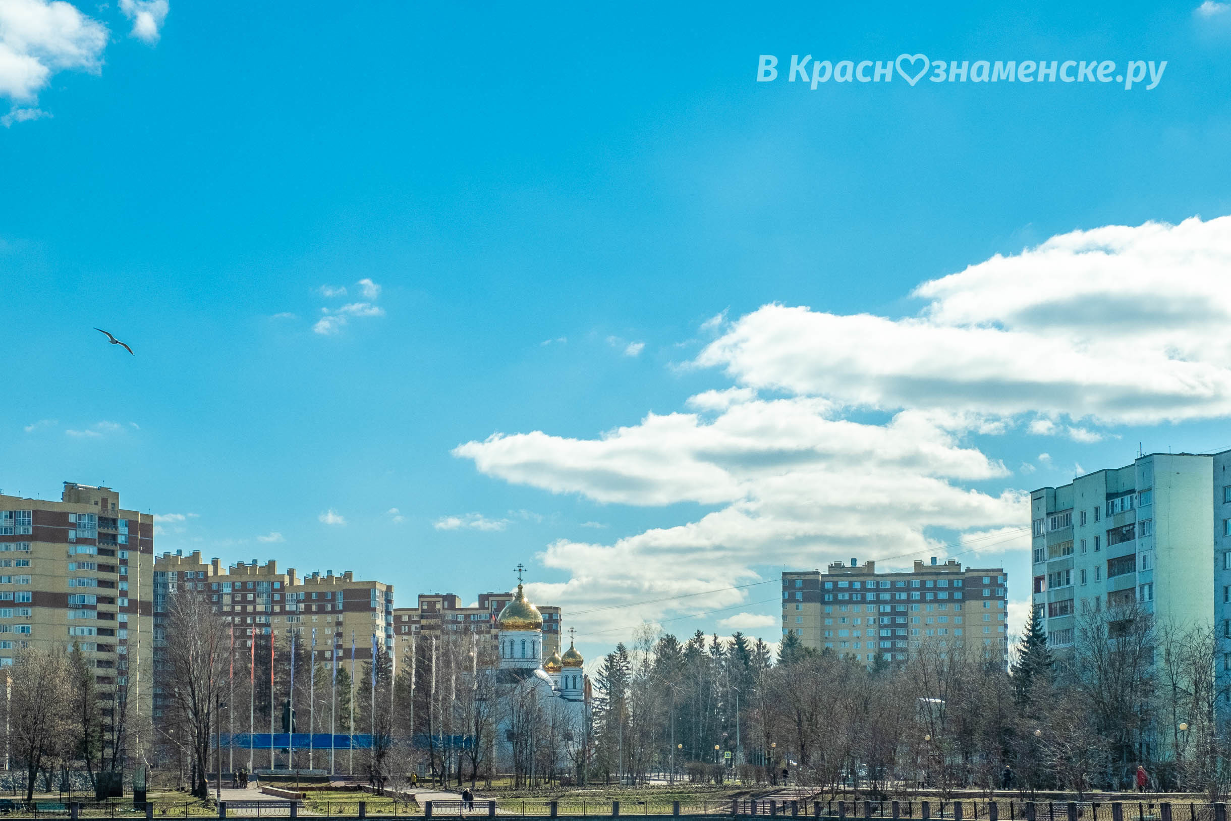 Фото 23558 — Краснознаменск