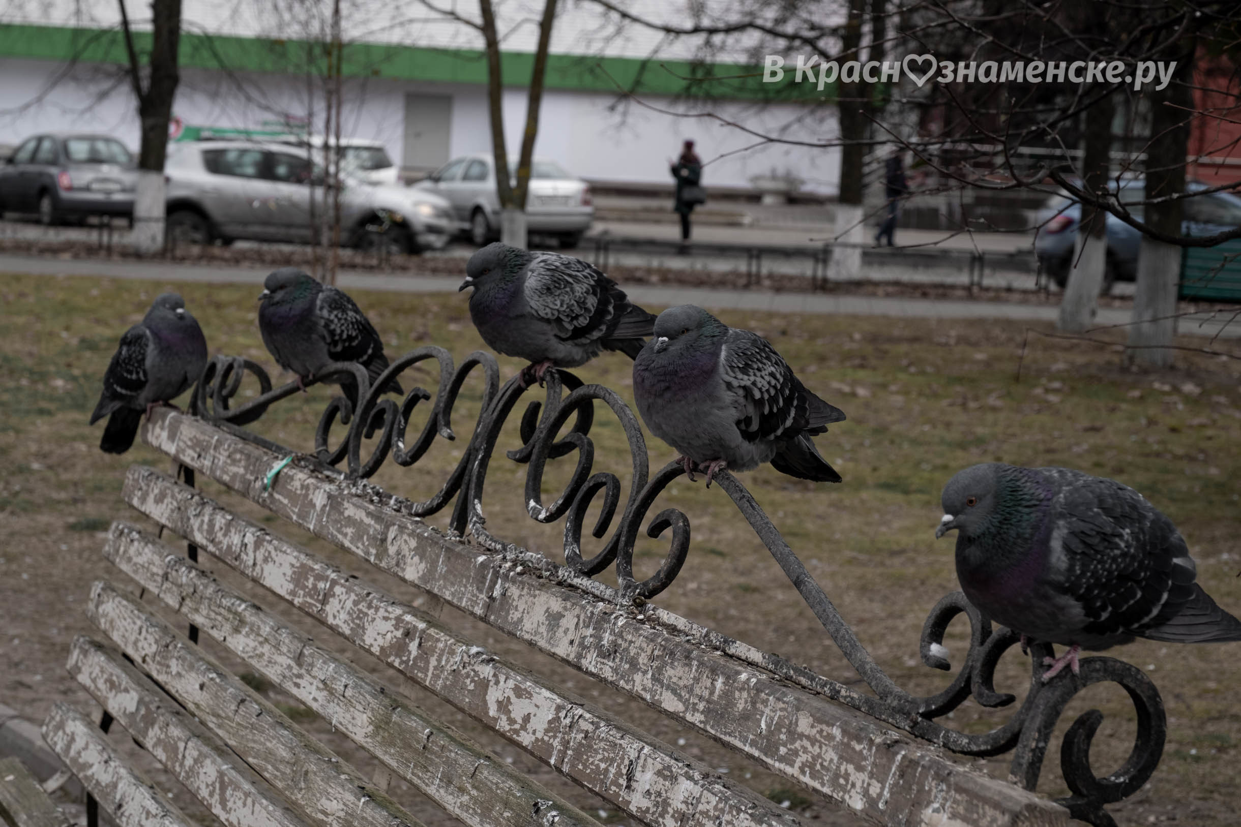 Эй, не хочешь присесть на скамеечку?
