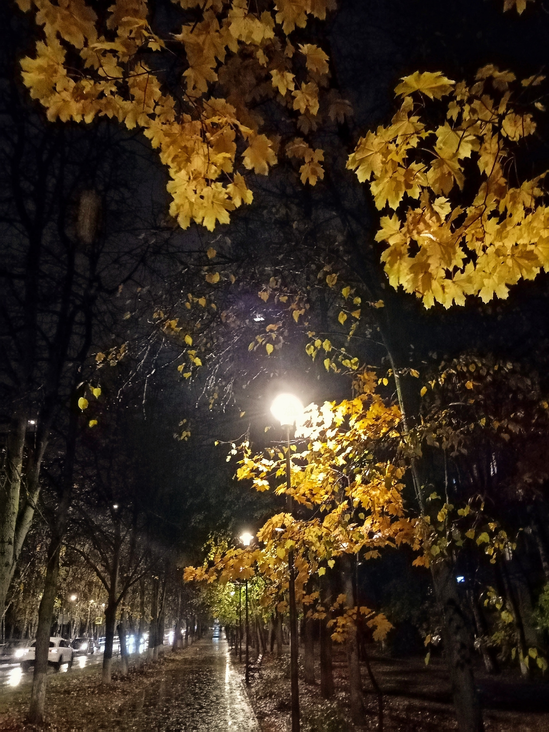 Фото 40812 — Краснознаменск