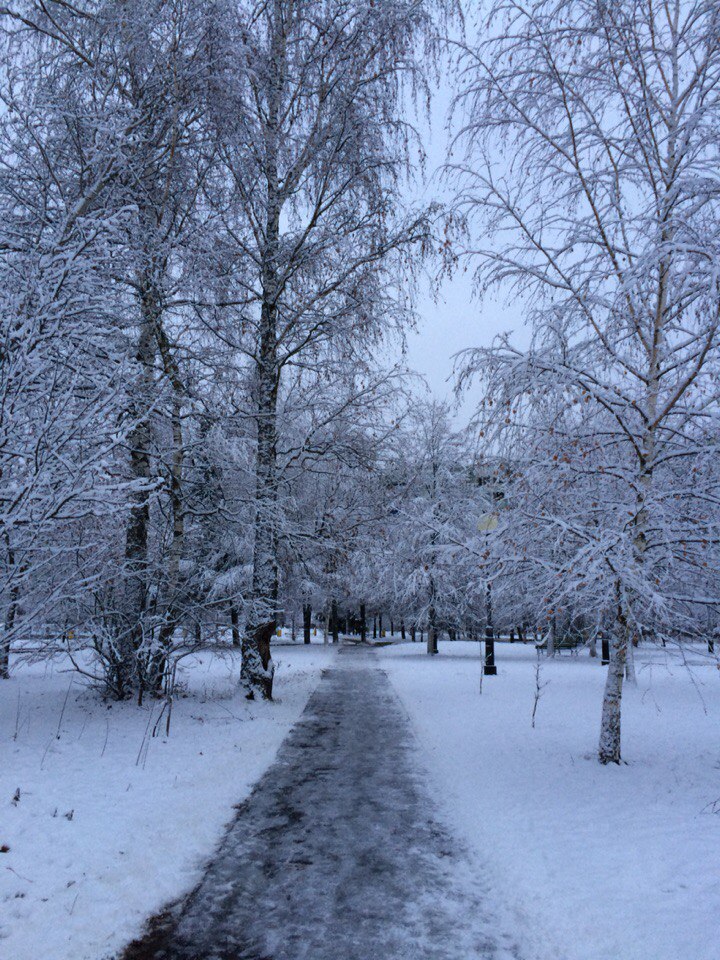 Доброе утро, мой город ????☃❄ — Краснознаменск
