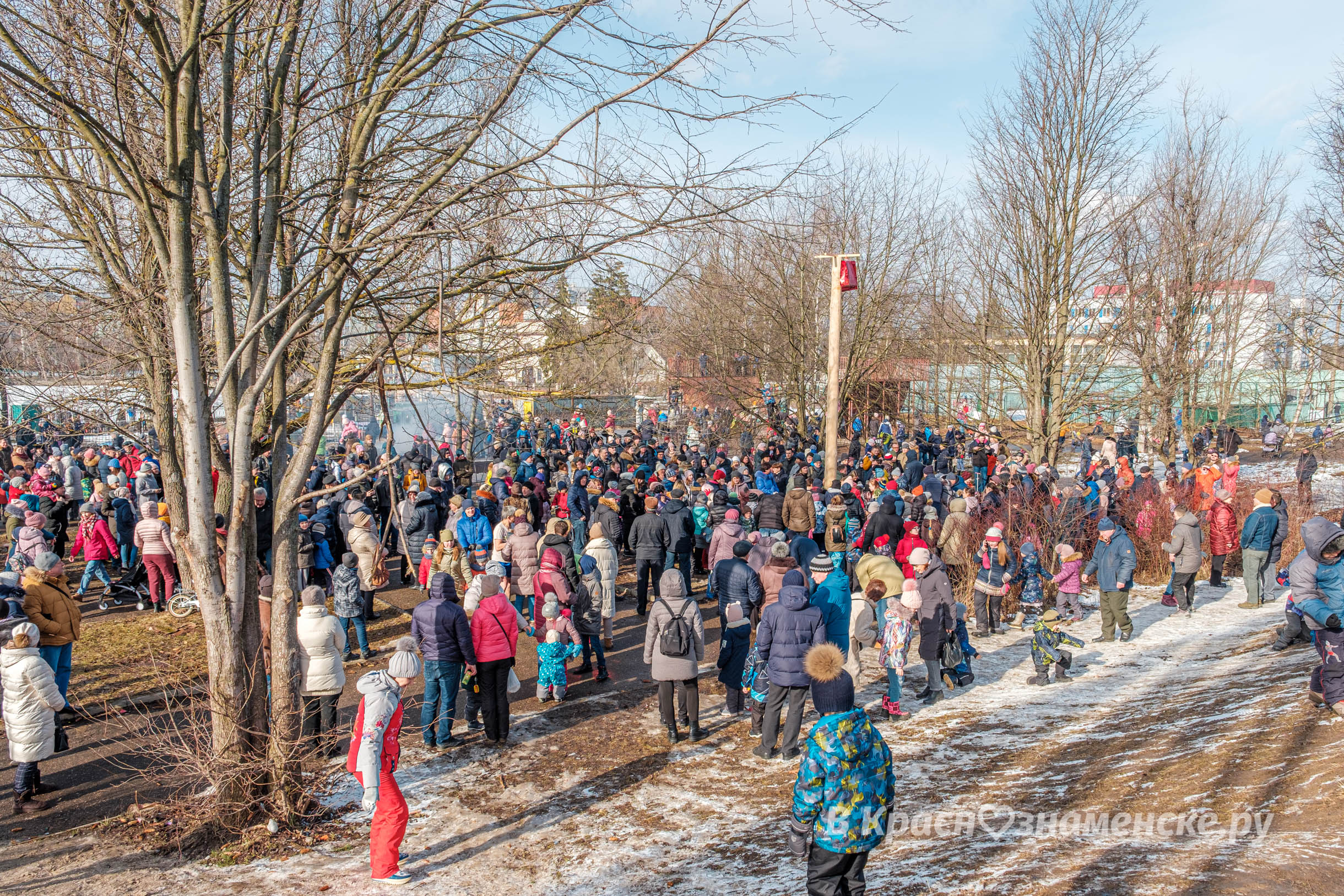 Фото 3862