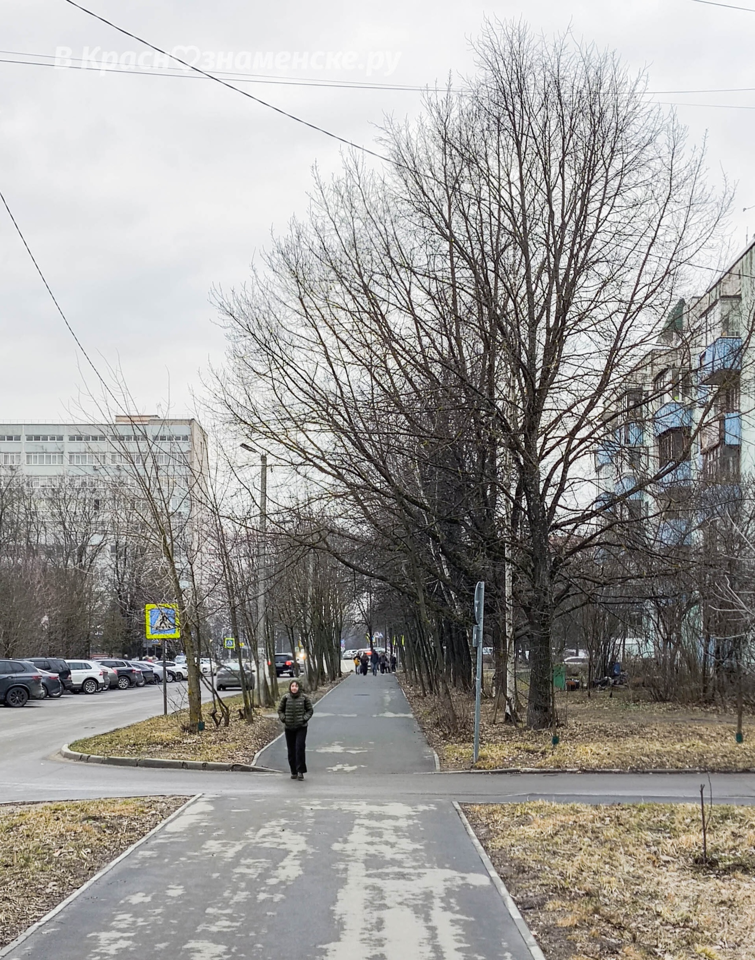 Доброе утро, Краснознаменск! Интересного вам воскресного дня