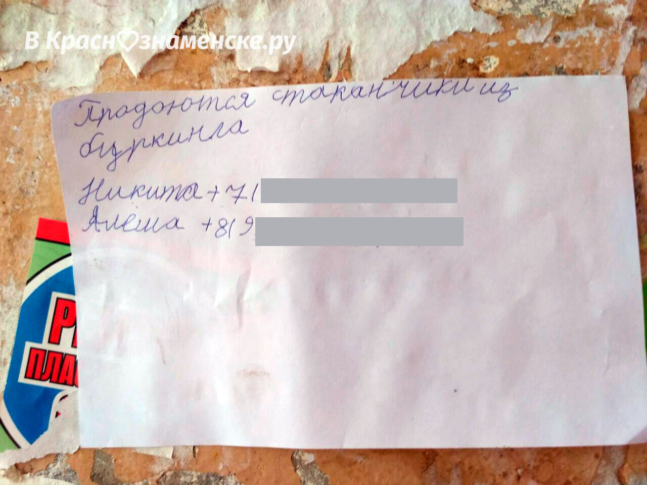 А спустя 20 лет мы увидим Никиту и Алёшу в топе Forbes ????
