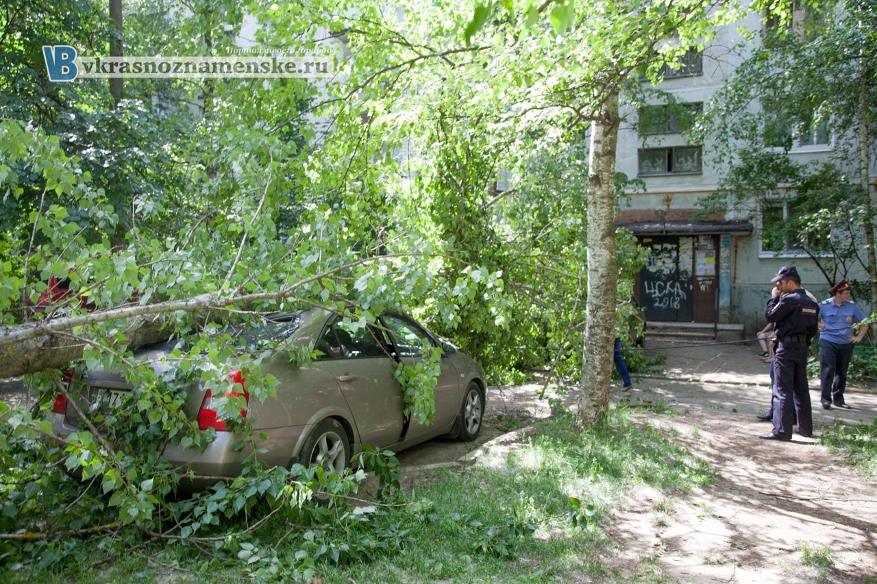 Дерево упало на детскую площадку и автомобили
http://www.vkrasnoznamenske.ru/news/detail/122632/
Во дворе дома 7 на пр-т. Мира на автомобили упало дерево
Пострадавших - нет.
На пострадавший автомобиль не оформлена страховка по КАСКО..