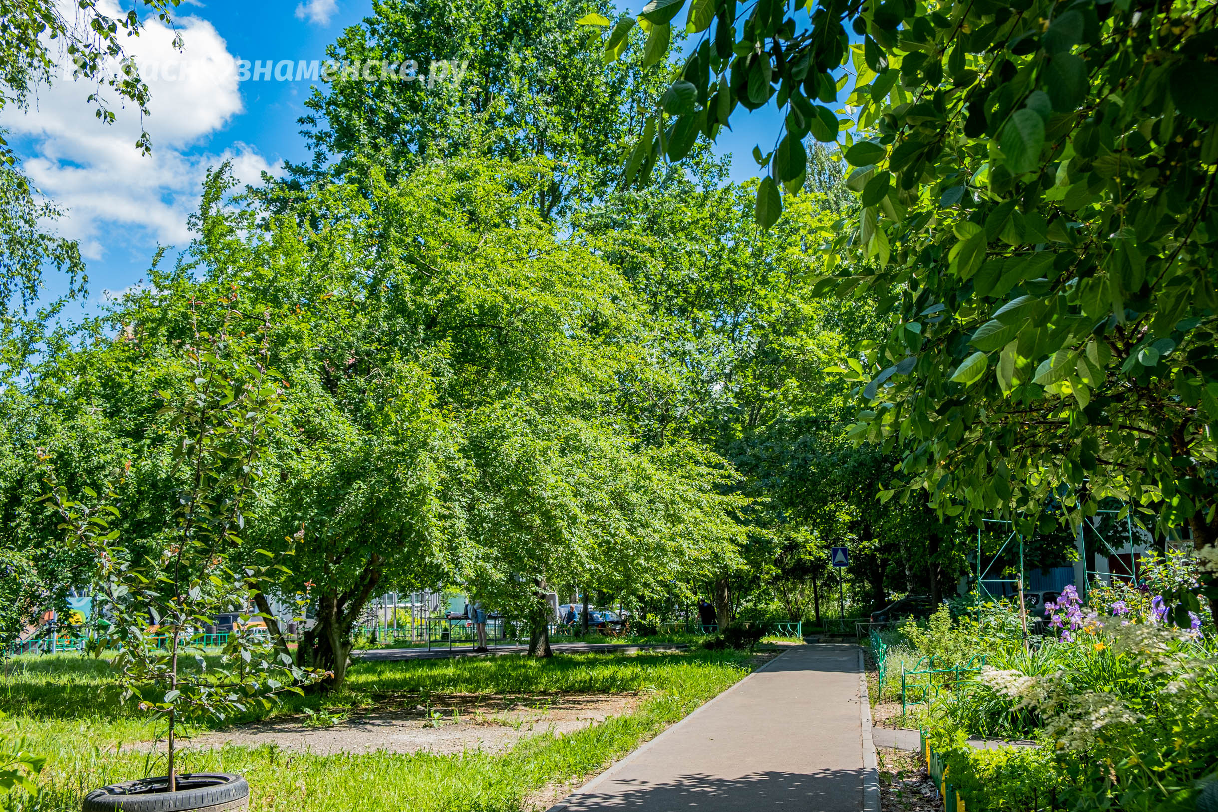 Прогулка по городу — Краснознаменск
