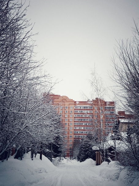 Доброе утро, Краснознаменск! ????Наталья Меняйлова