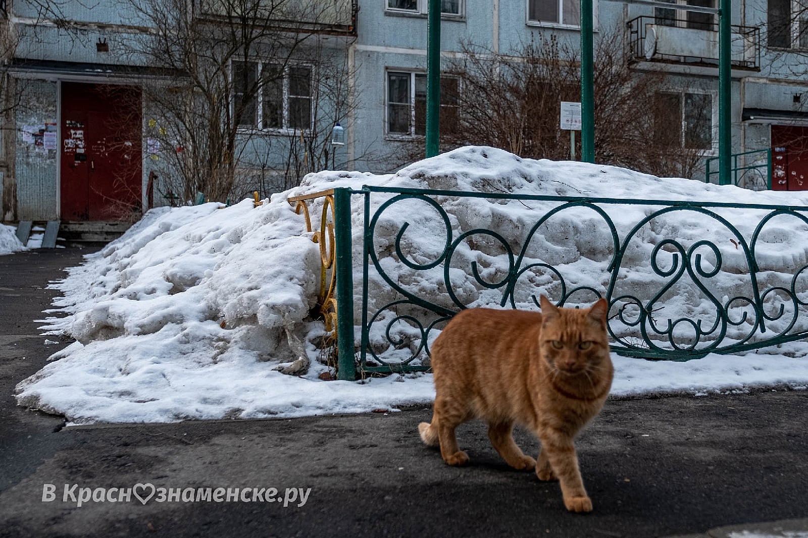 Фото 37031 — Краснознаменск