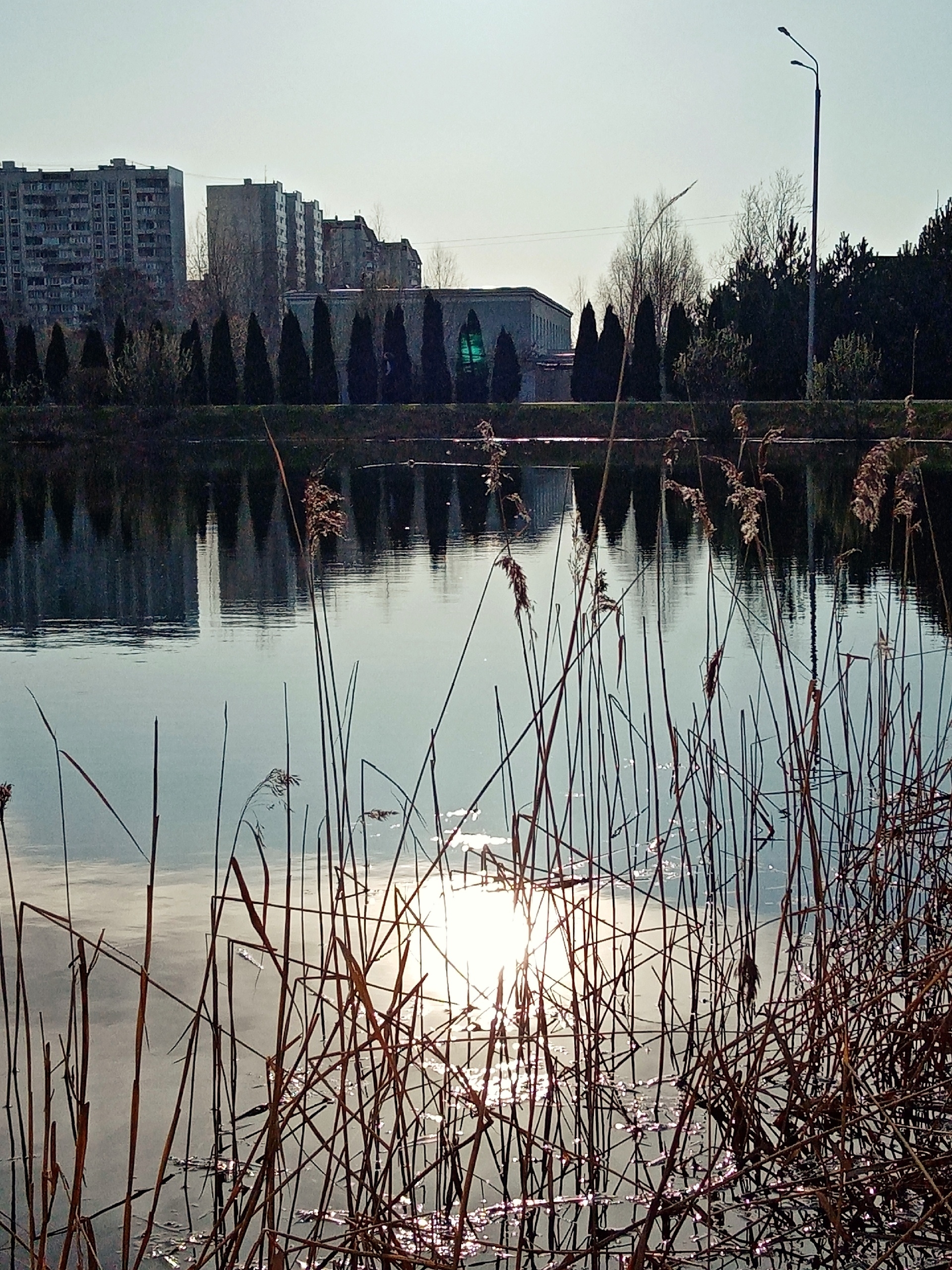 Парк Краснознаменска.