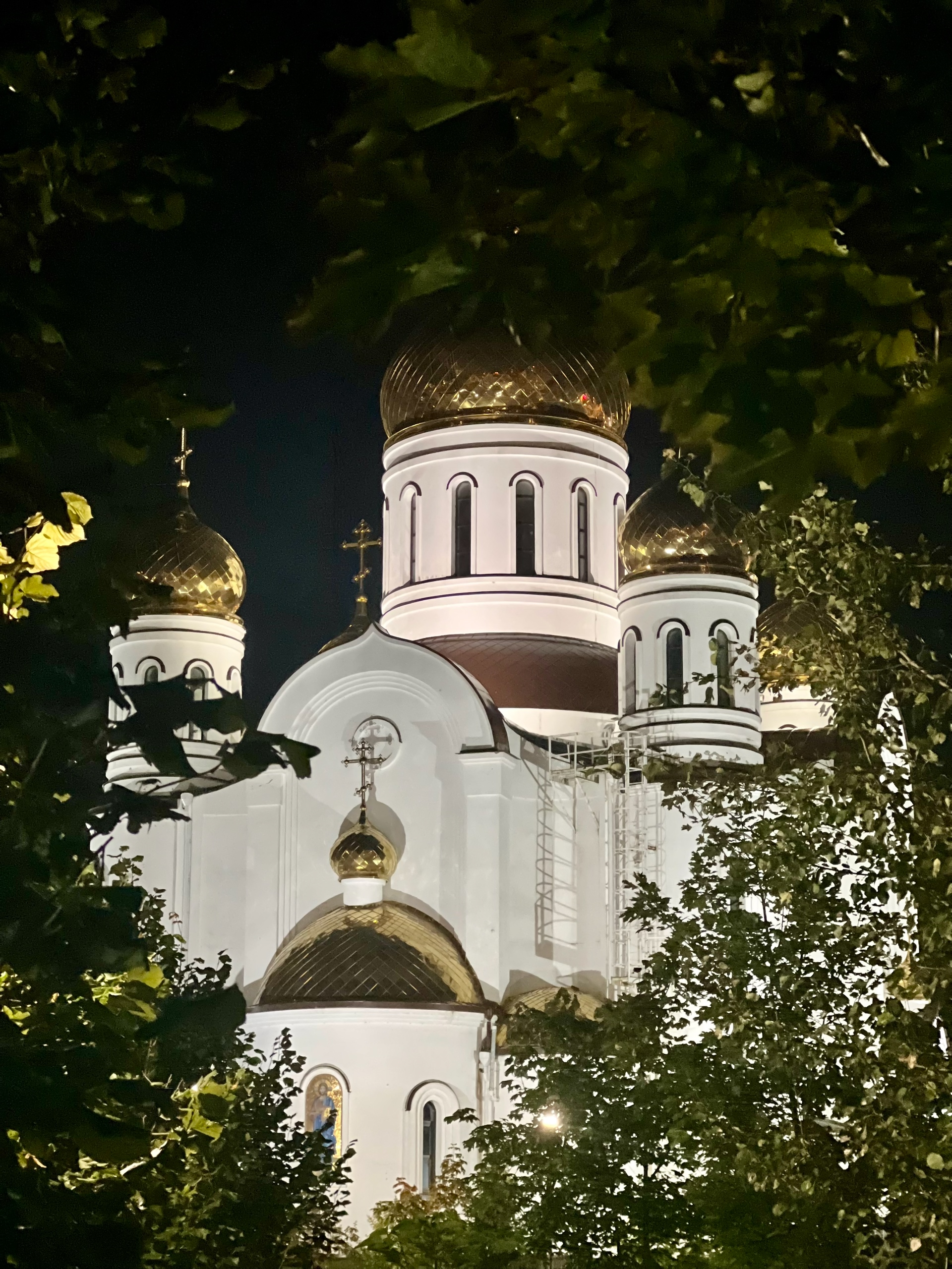 ???? Лиса Лихачева — Краснознаменск