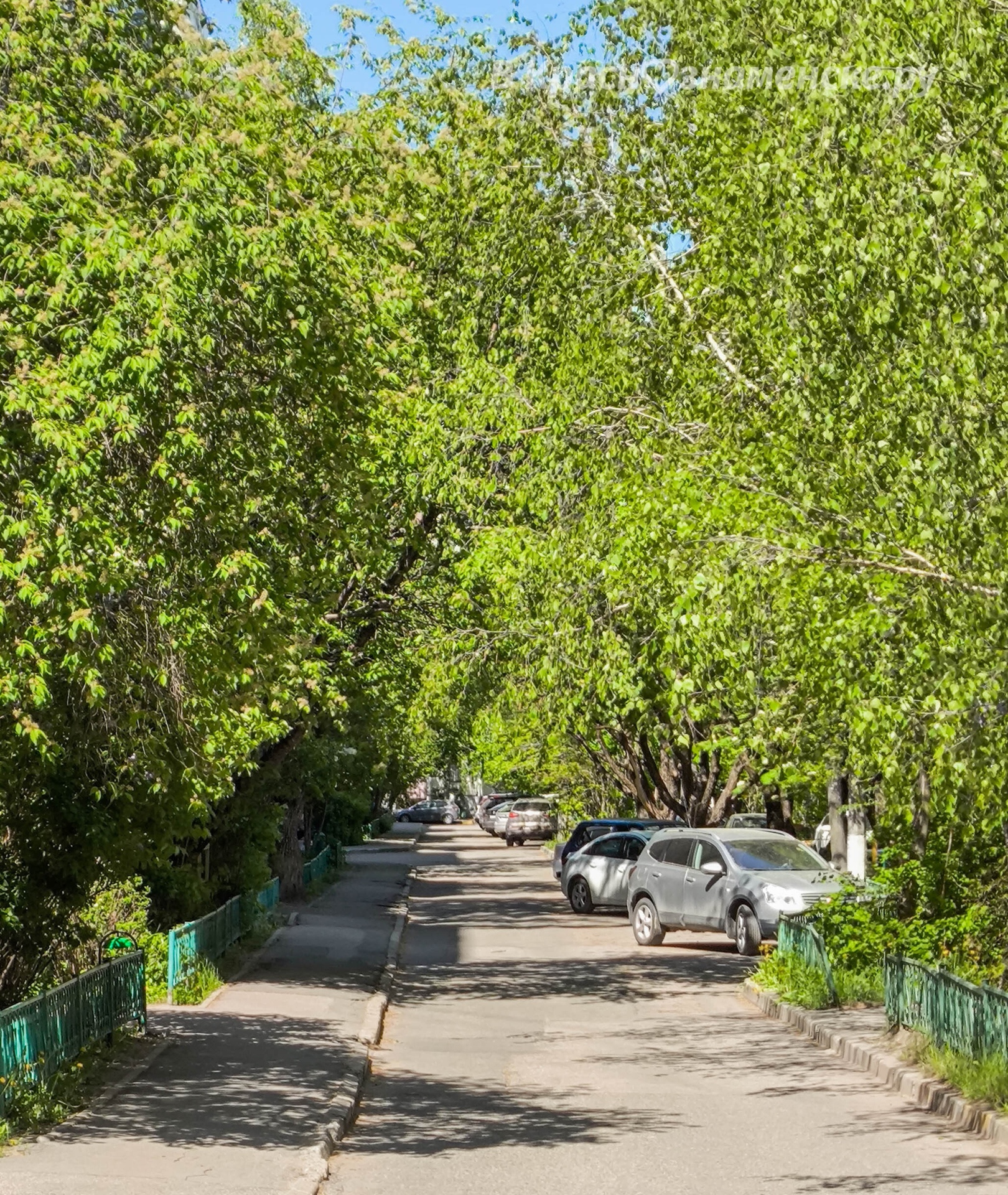 Доброе утро, Краснознаменск!