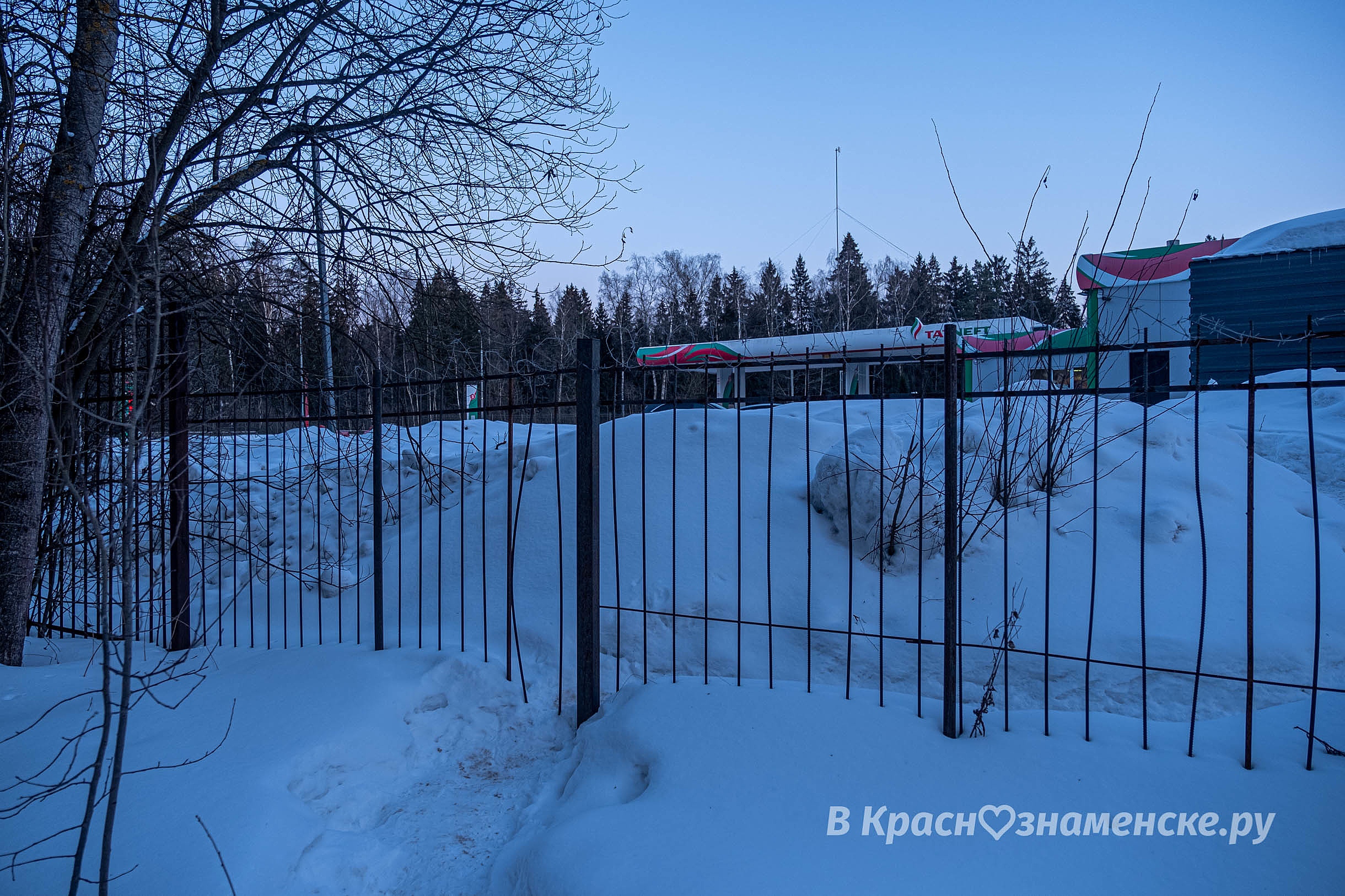 Фото 39691 — Краснознаменск