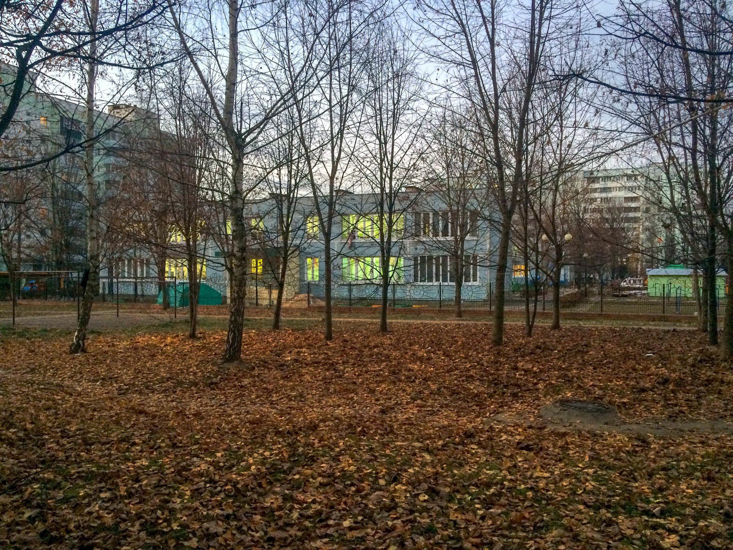 Подборка осенних фотографий от Ларисы Конюшевой — Краснознаменск