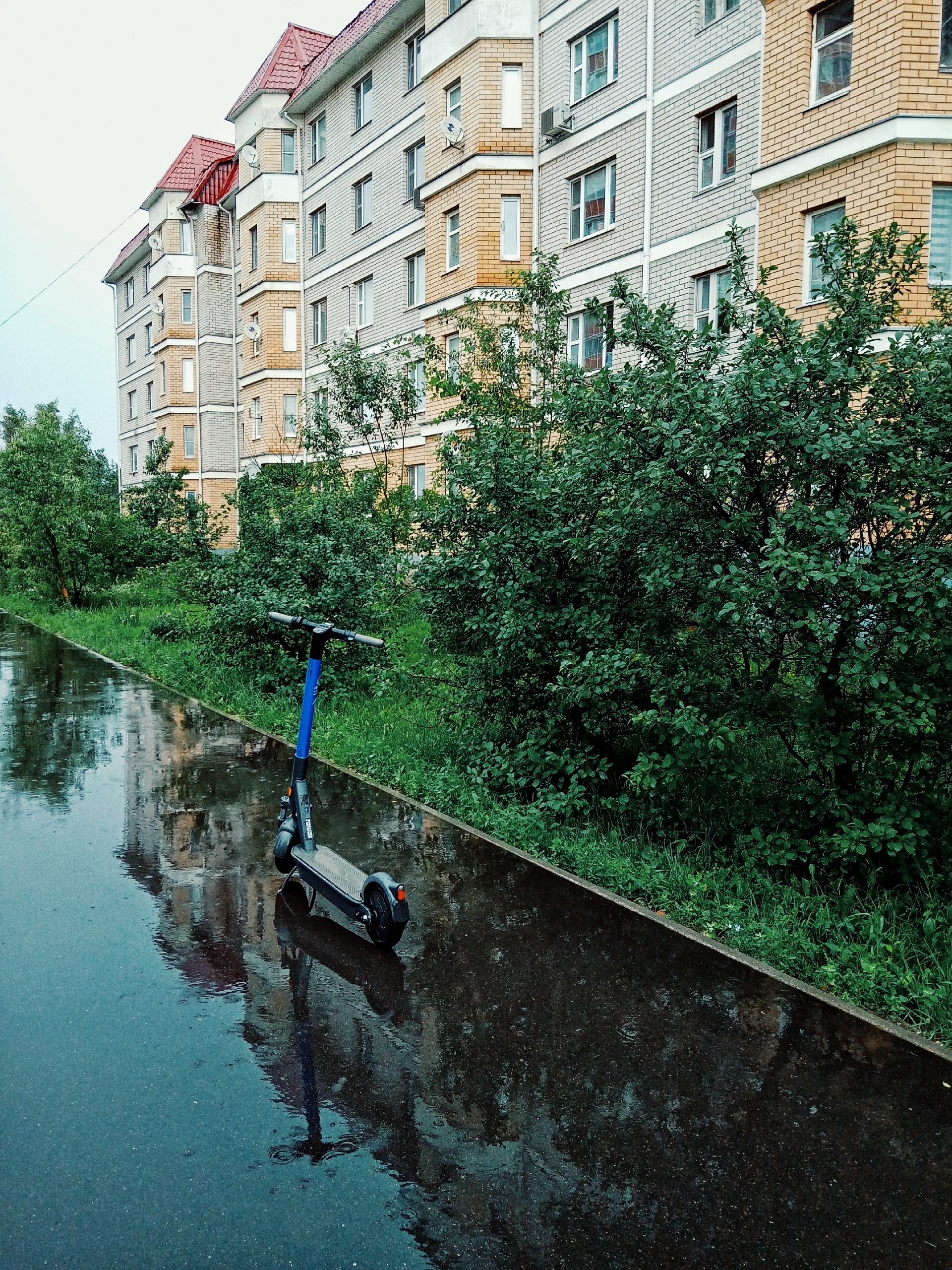 Дождливое утро ☔