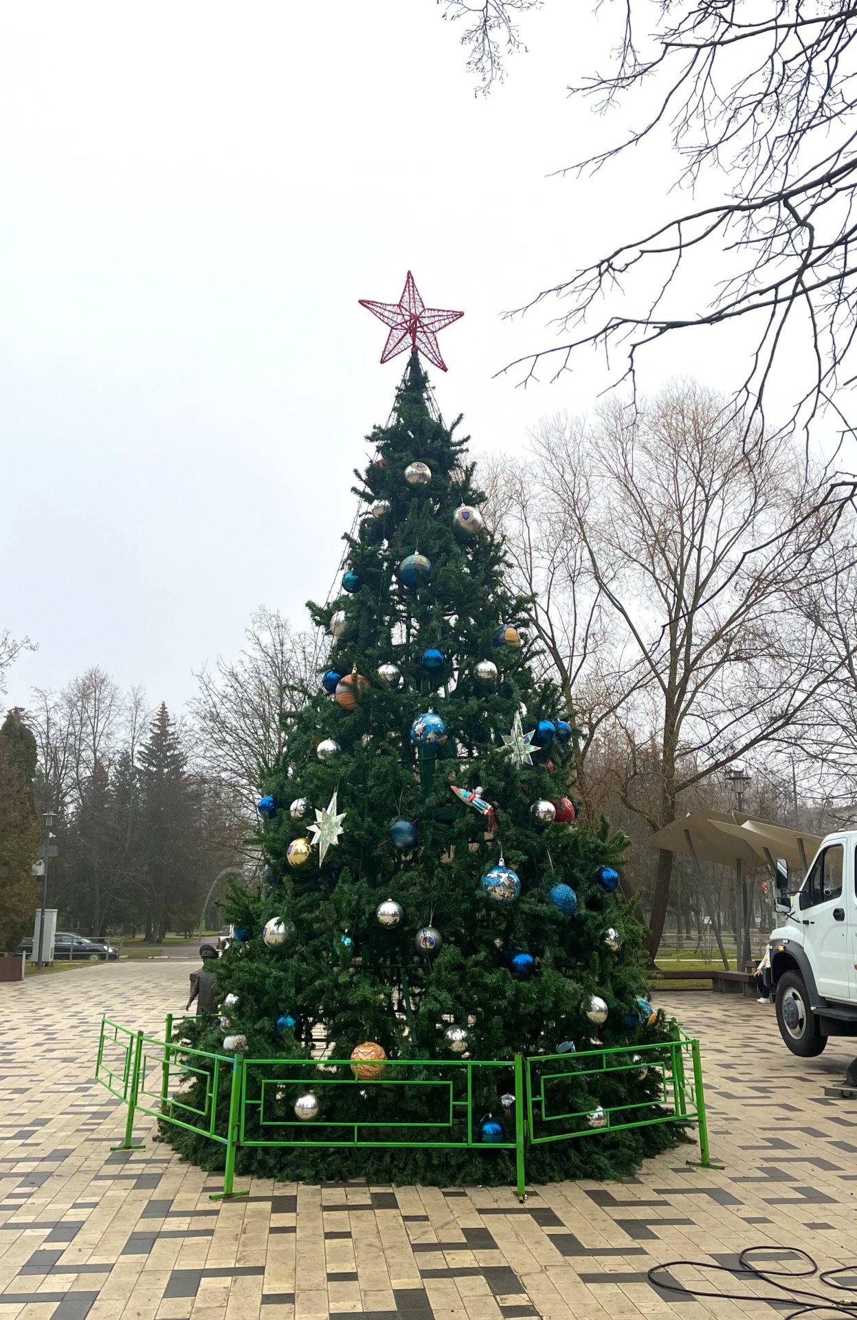 Ёлочки уже украсили городские улицы, радуя сердца и глаза пр