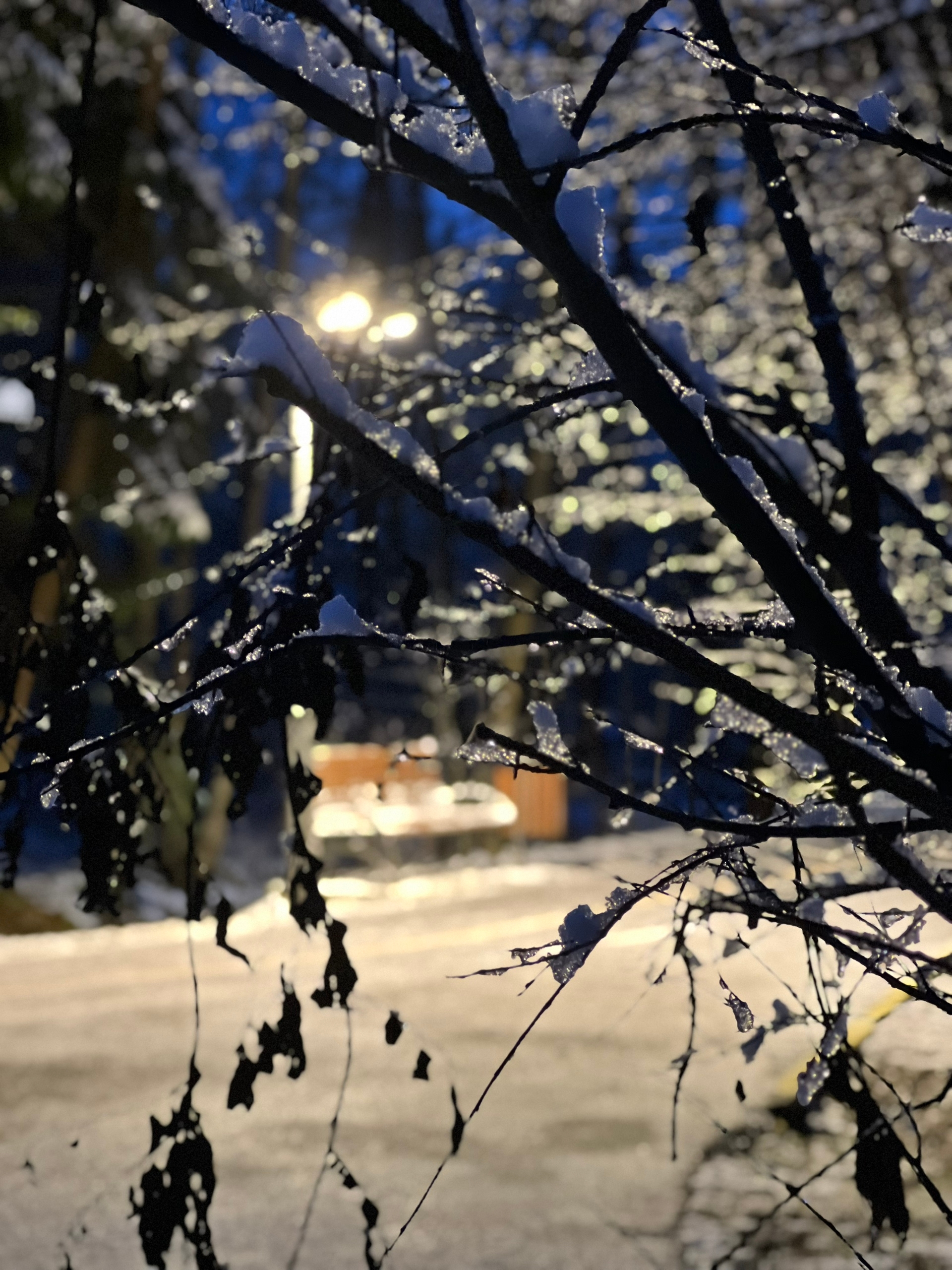 Вечер в Городском парке — Краснознаменск