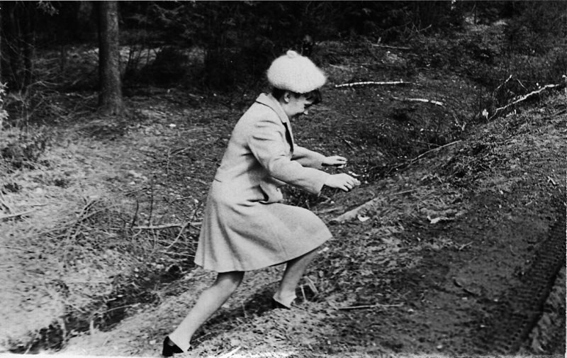 Исторические фотографии Краснознаменска ч.7 
Парк в 1м микрорайоне
Городское озеро
Кафе "Петушок"
Центральное КПП