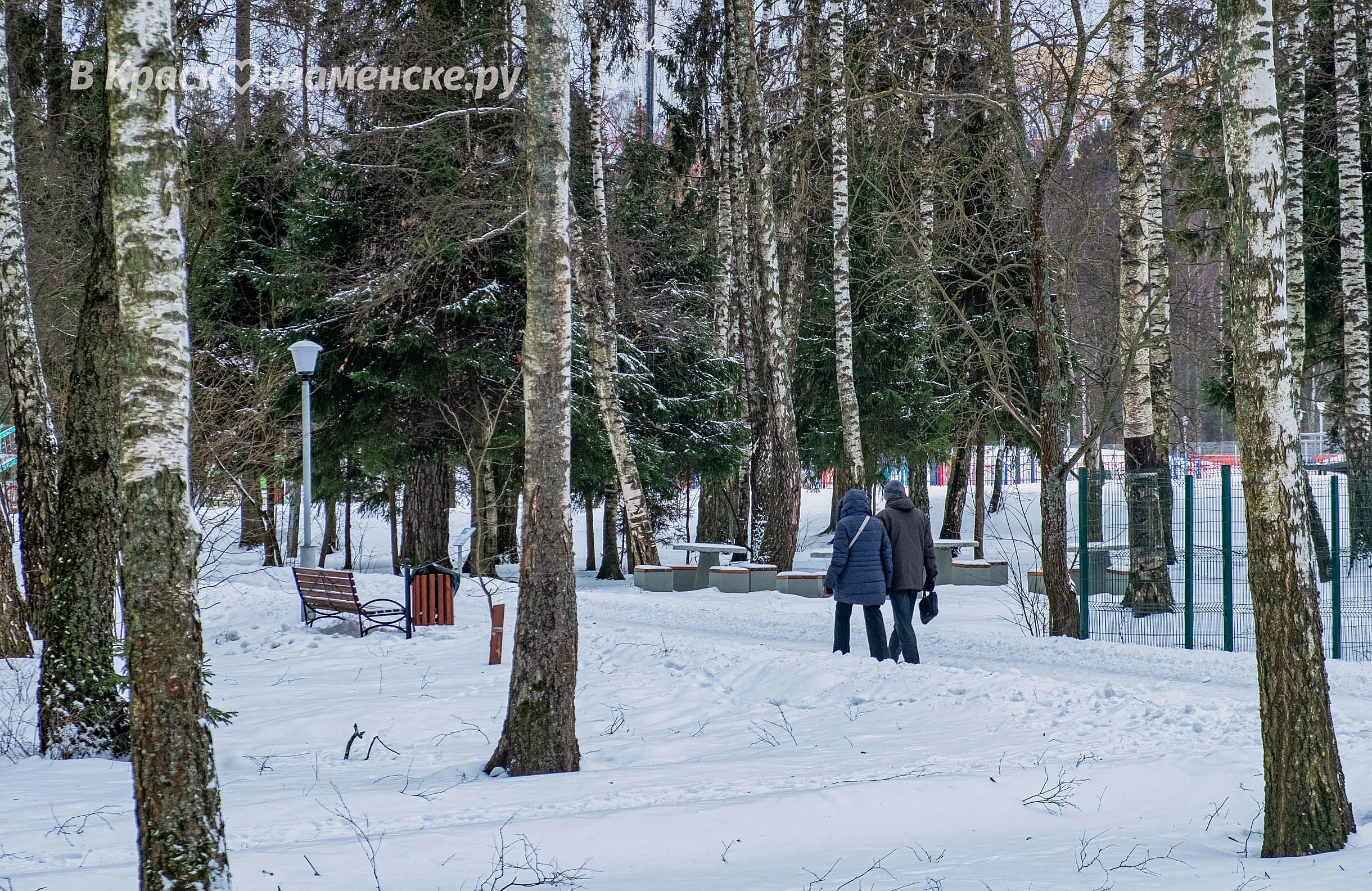 Зимняя прогулка по городскому парку