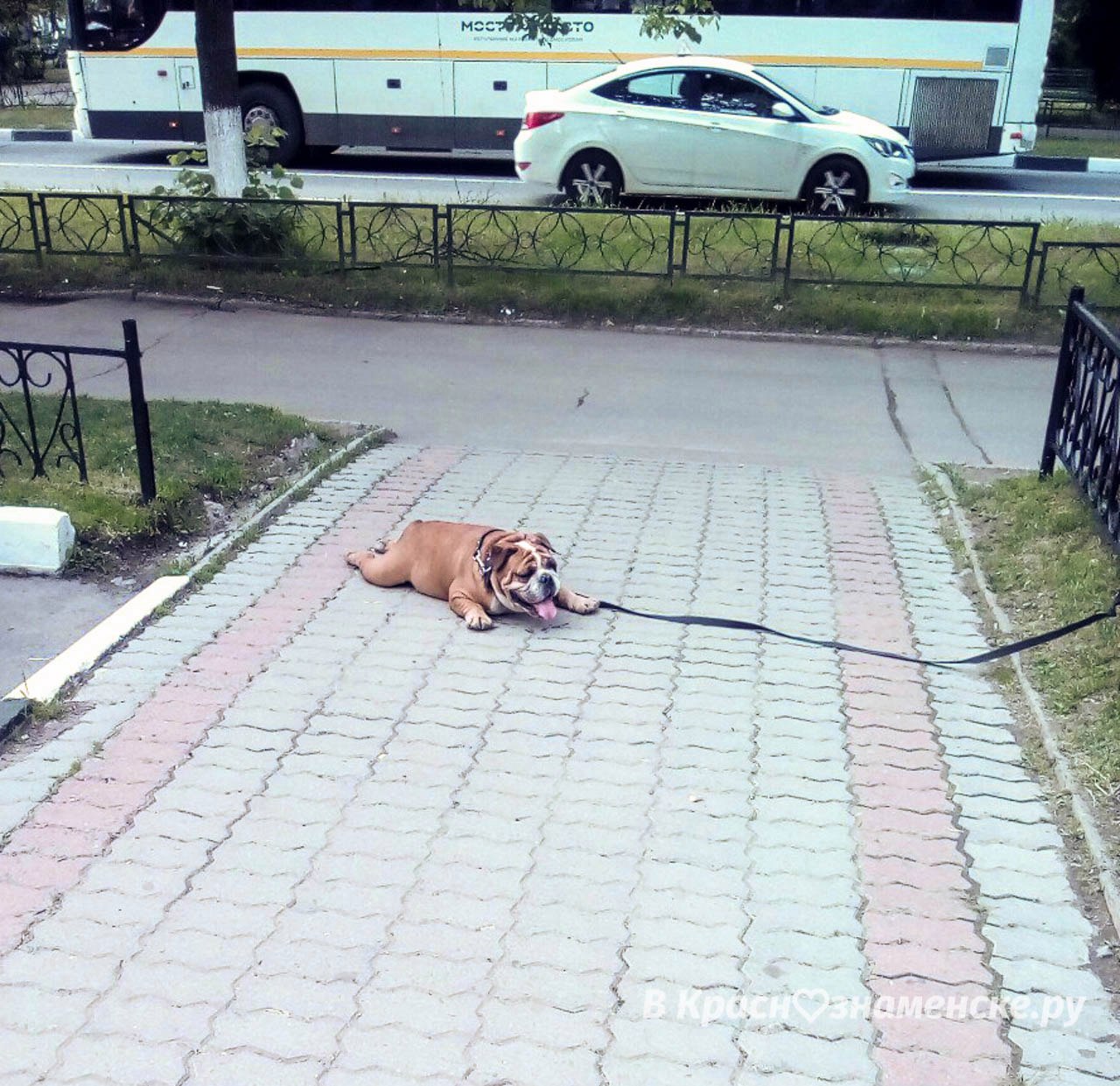 Не мешайте;)))