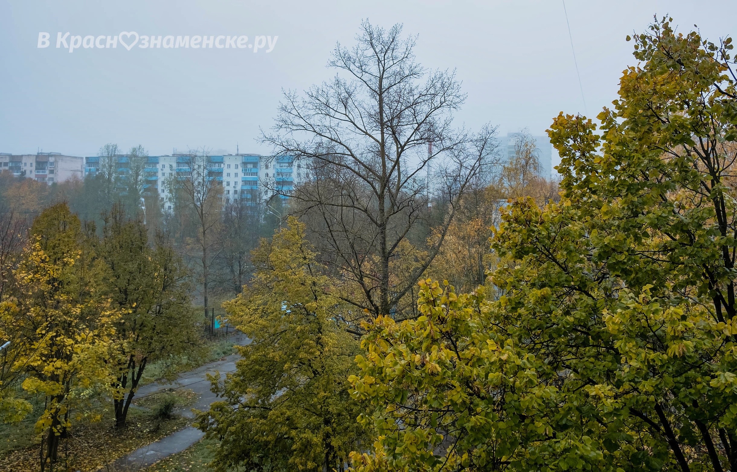 Фото 40775 — Краснознаменск