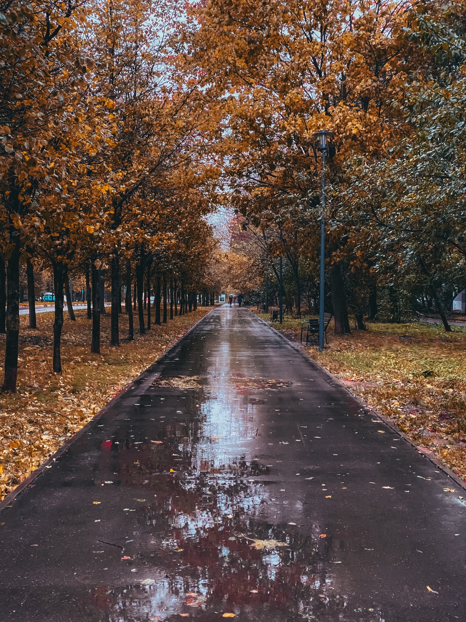 ????Кристина Kenga — Краснознаменск
