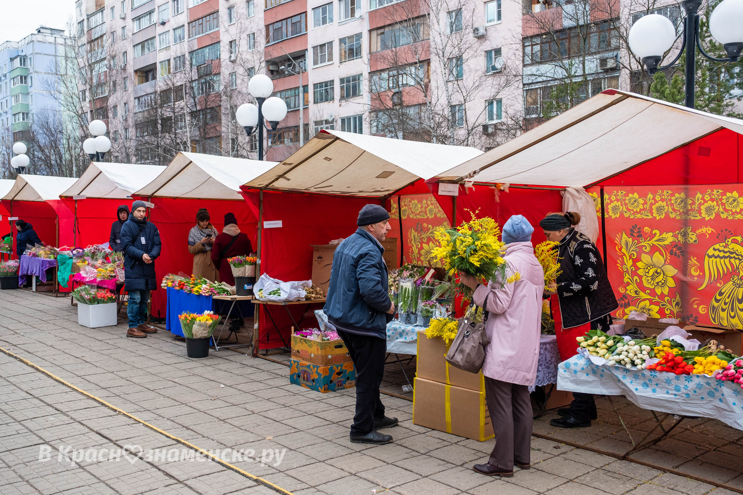 Фото 37178 — Краснознаменск